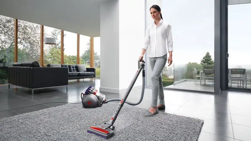 Dyson BIGBALLANIMAL2 Corded Vacuum Cleaner, Grey - 72884671414645 