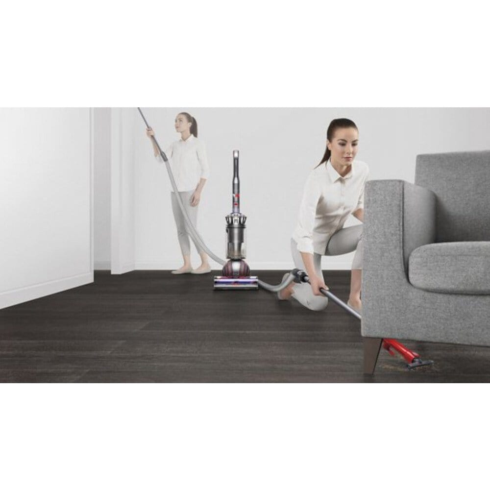 Dyson BALLANIMALNEW Ball Animal Upright Vacuum Cleaner - Silver | Atlantic Electrics